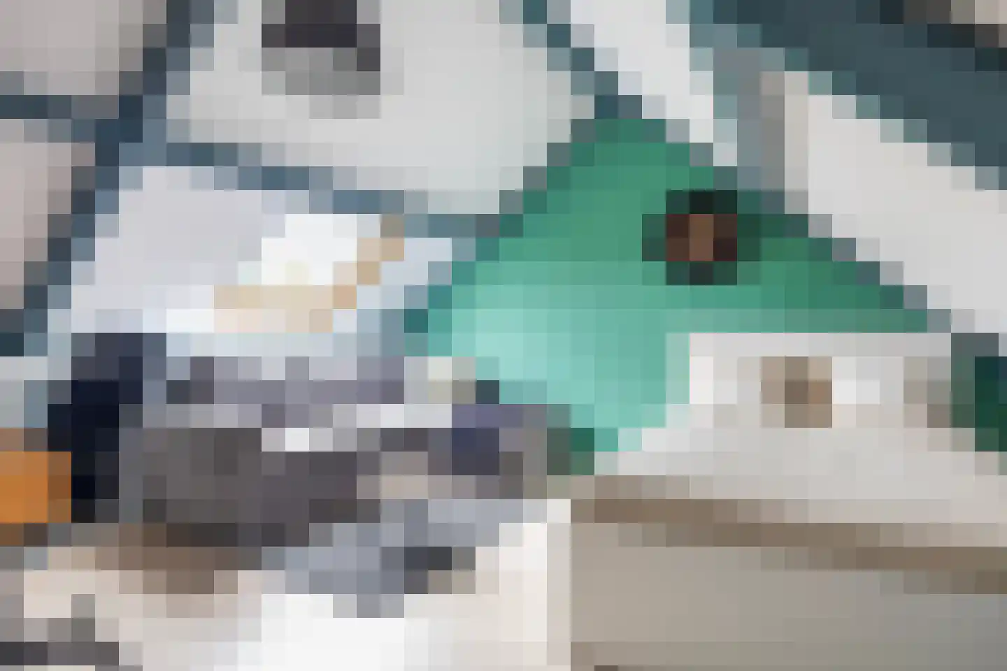 Walstro 52 Sneek thumbnail 39