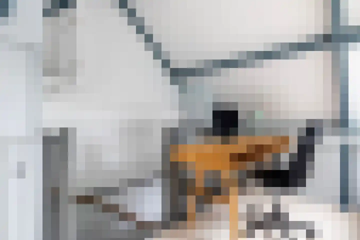 Walstro 52 Sneek thumbnail 42