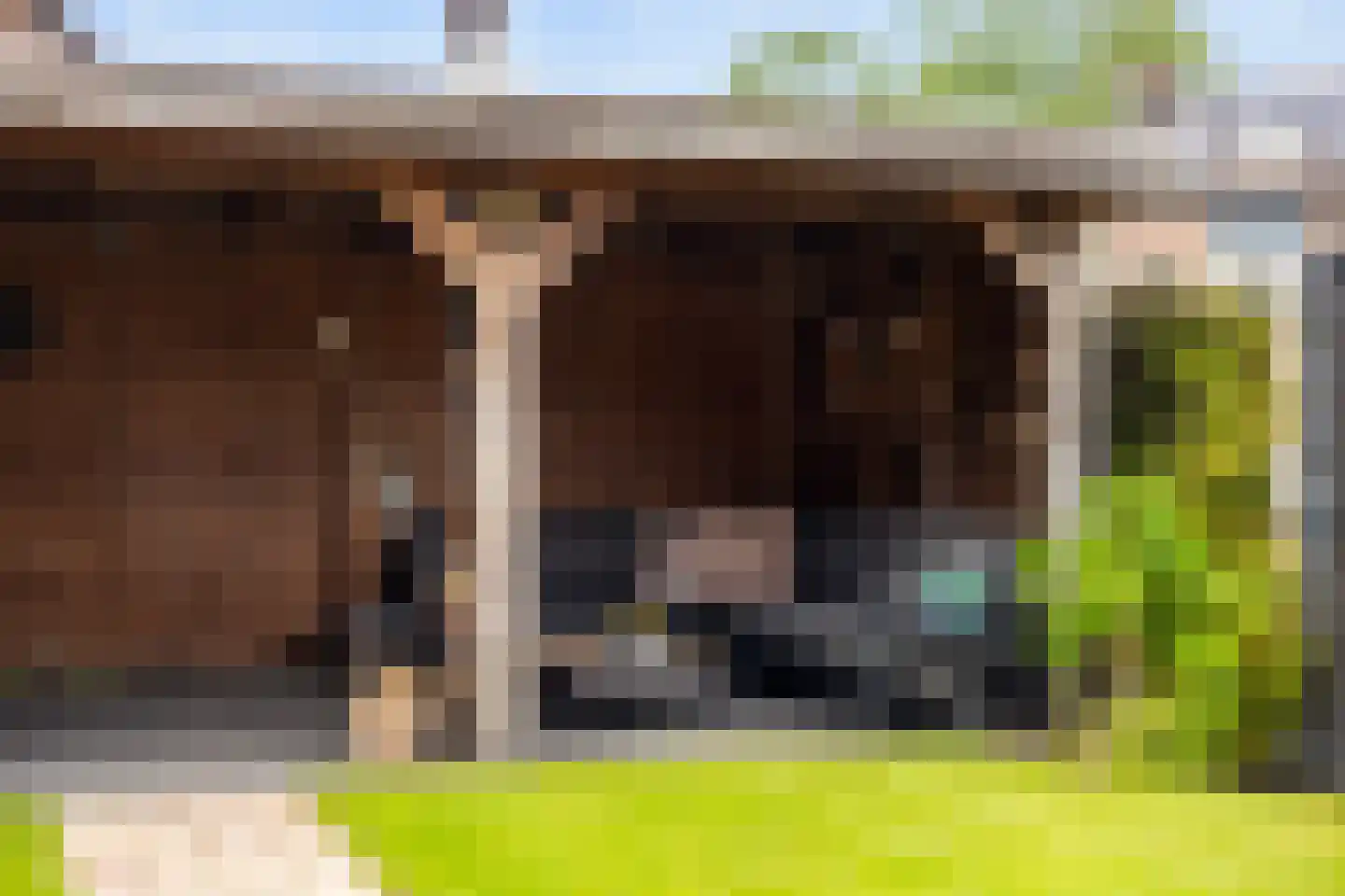 Walstro 52 Sneek thumbnail 47