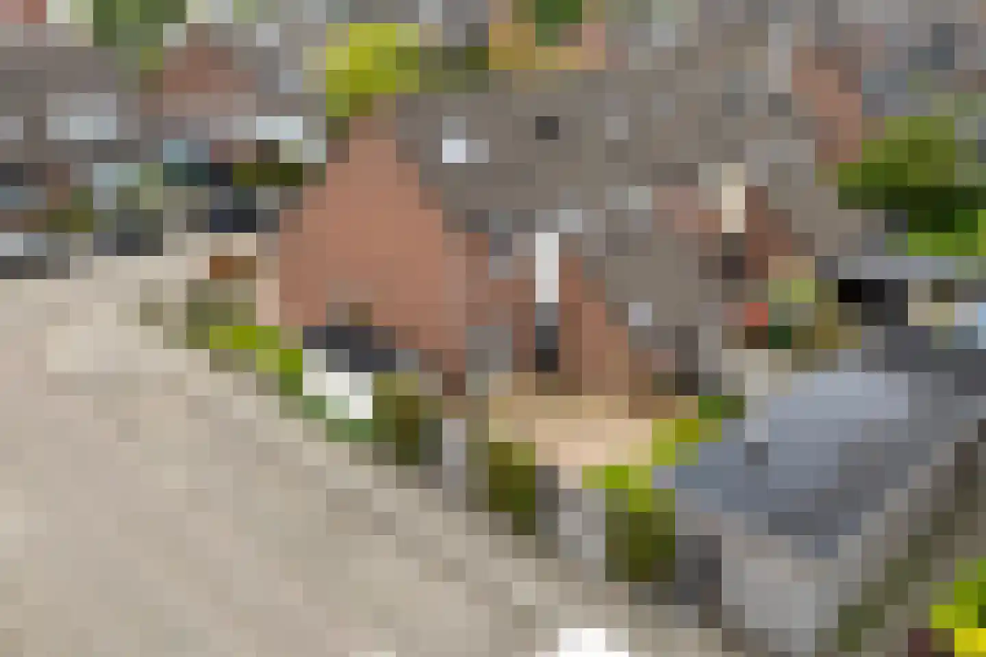 Walstro 52 Sneek thumbnail 51