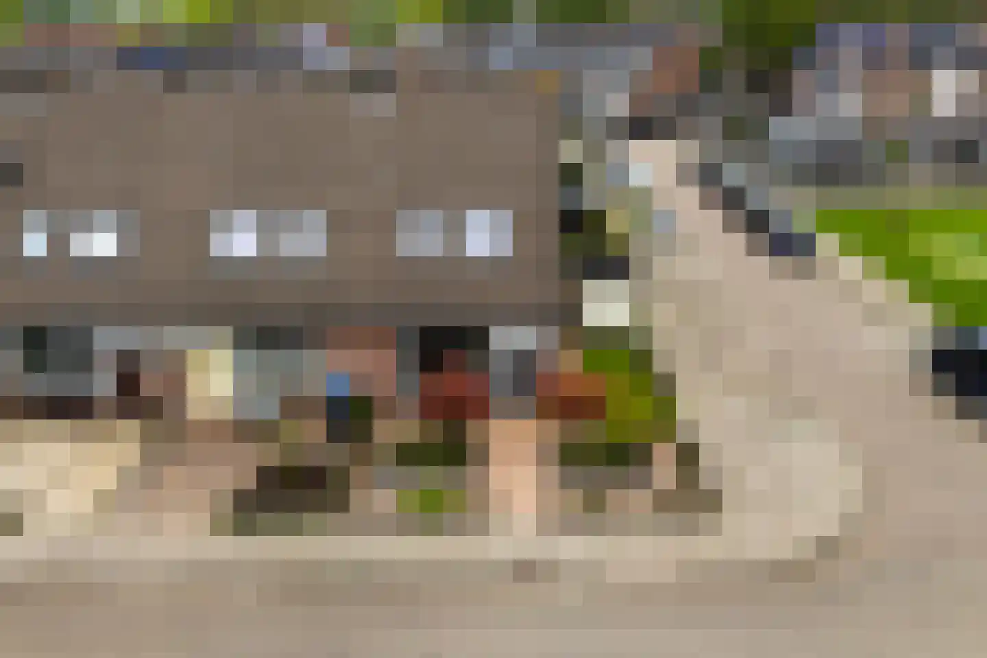 Walstro 52 Sneek thumbnail 7