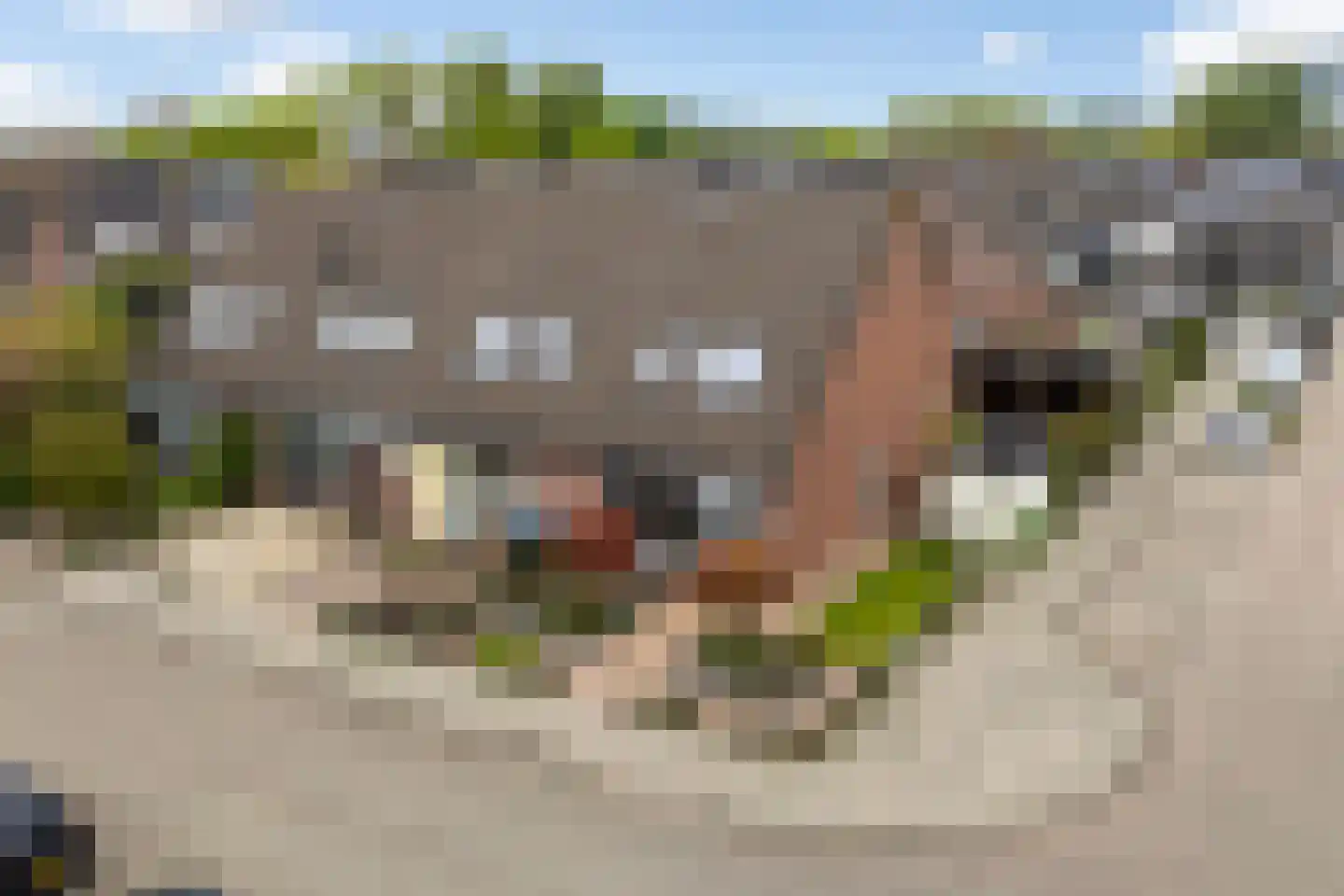 Walstro 52 Sneek thumbnail 8