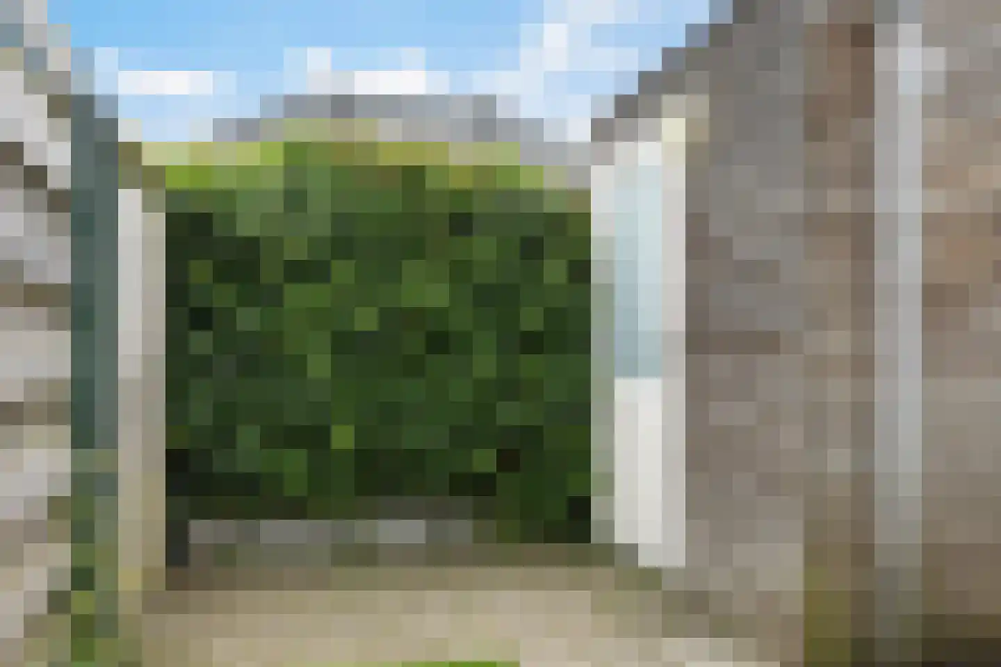 Walstro 54 Beilen thumbnail 17