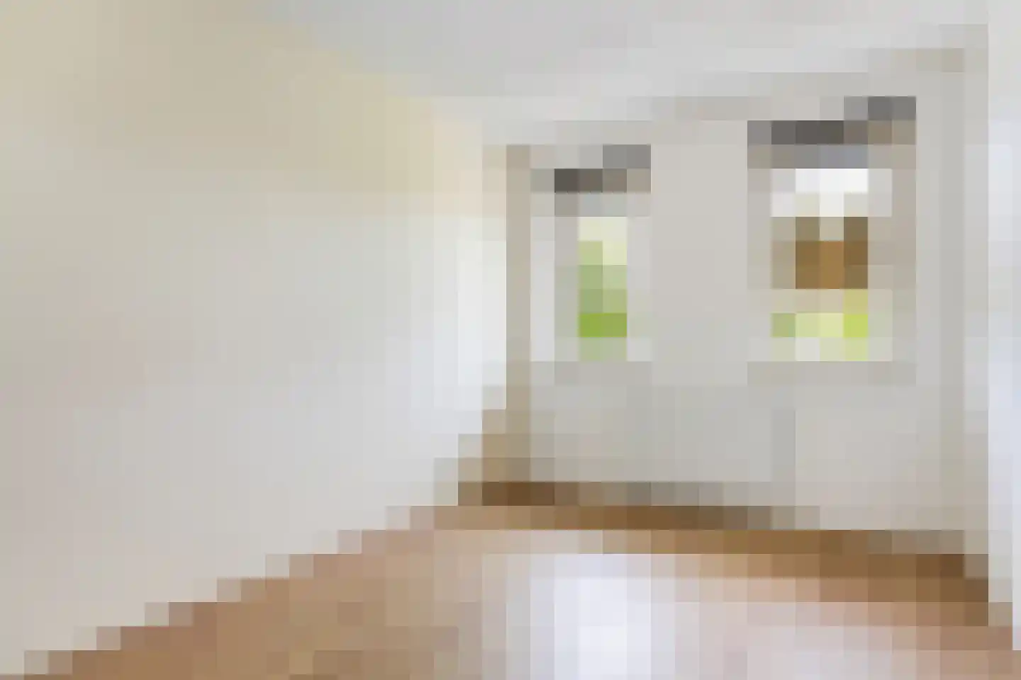 Walstro 54 Beilen thumbnail 26