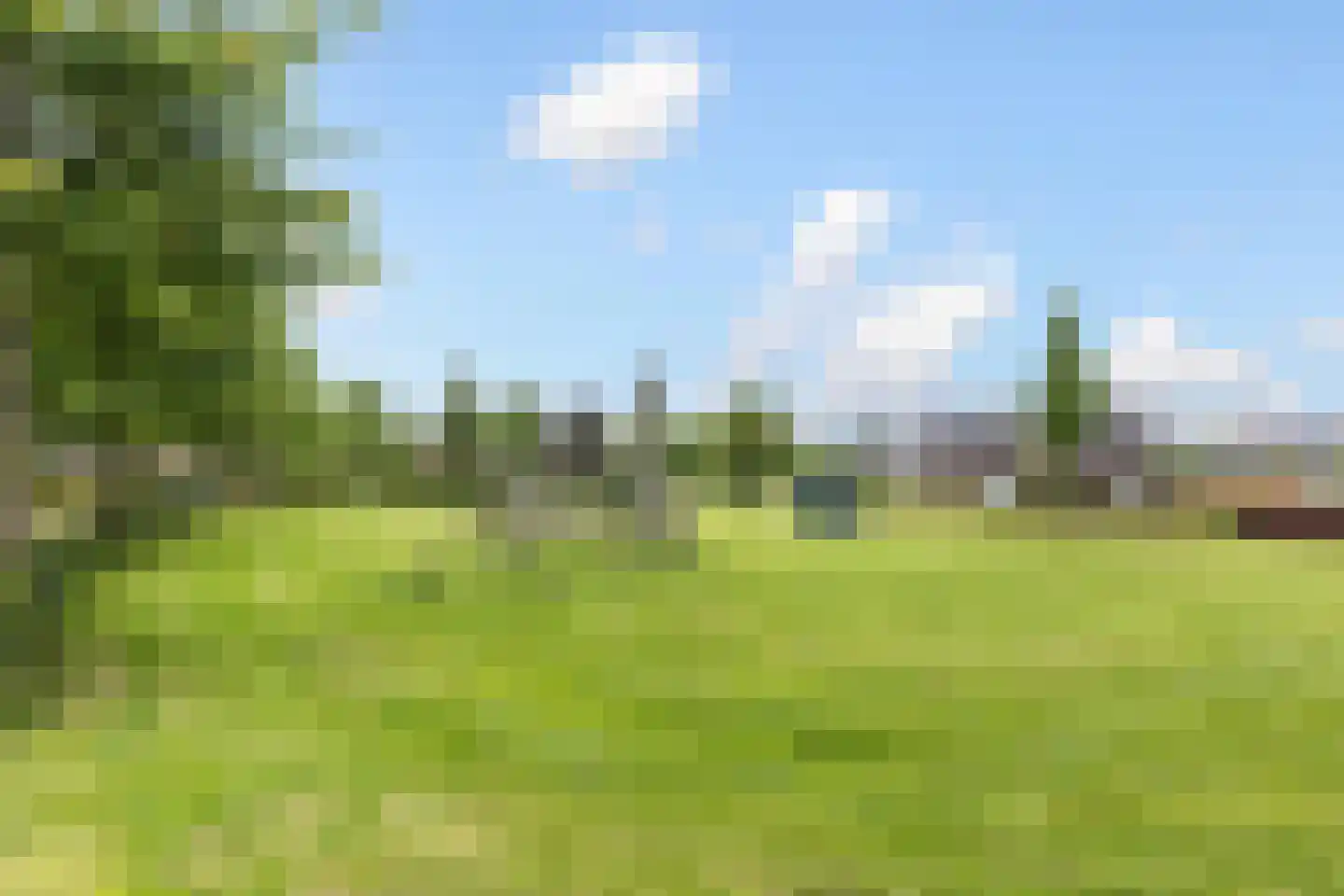 Walstro 54 Beilen thumbnail 33