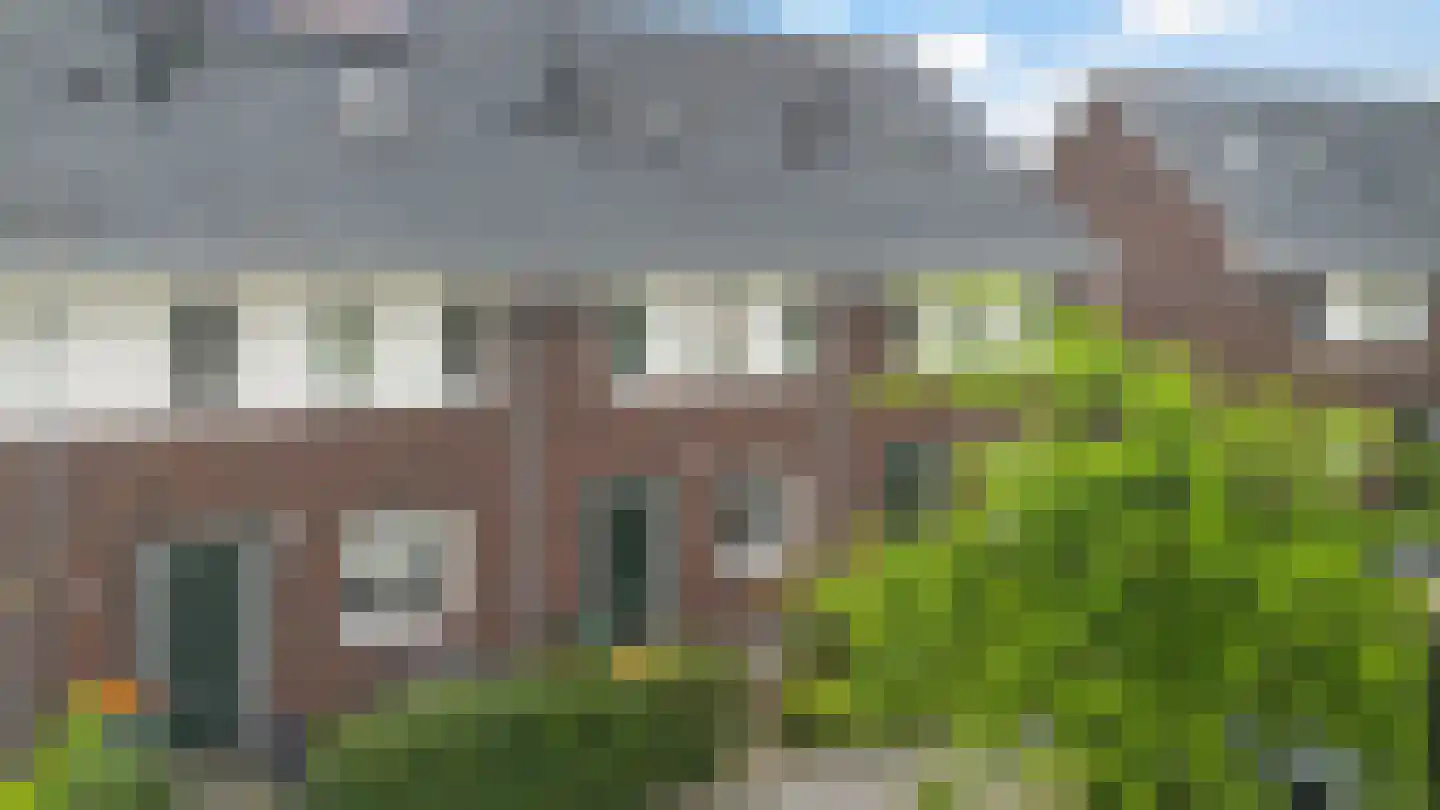 Walstro 54 Beilen thumbnail 34