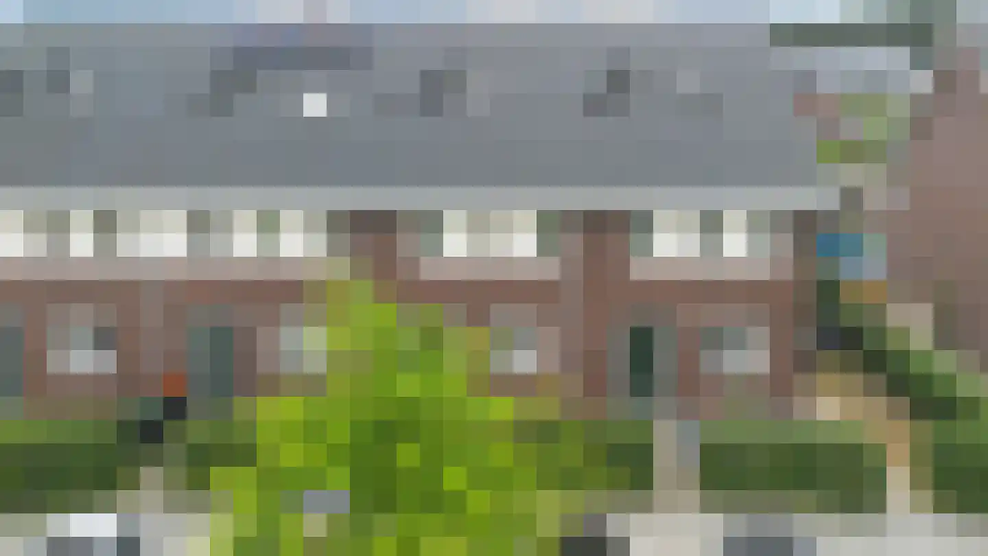 Walstro 54 Beilen thumbnail 35