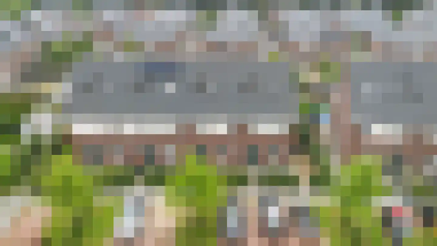Walstro 54 Beilen thumbnail 36