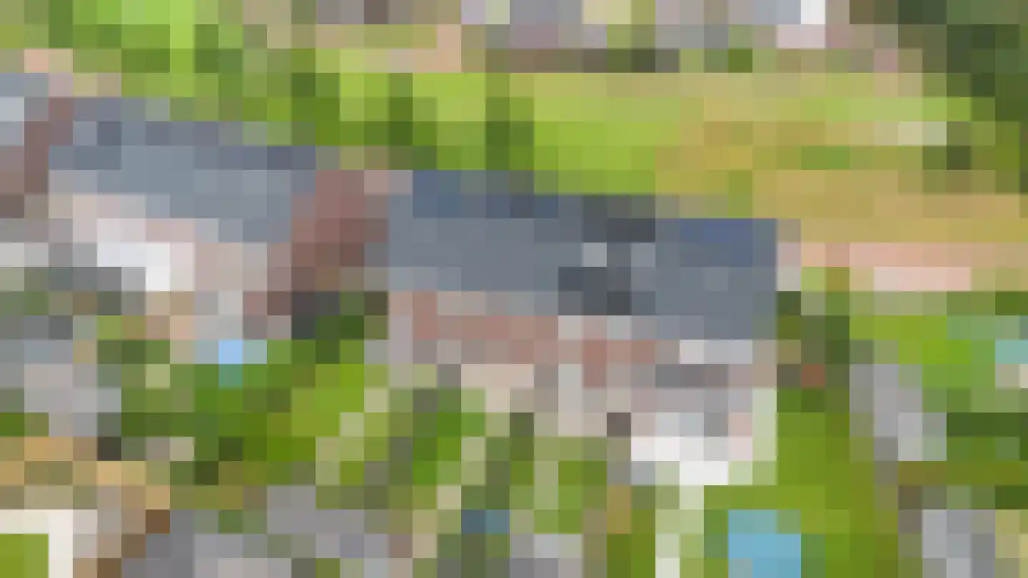Walstro 54 Beilen thumbnail 38