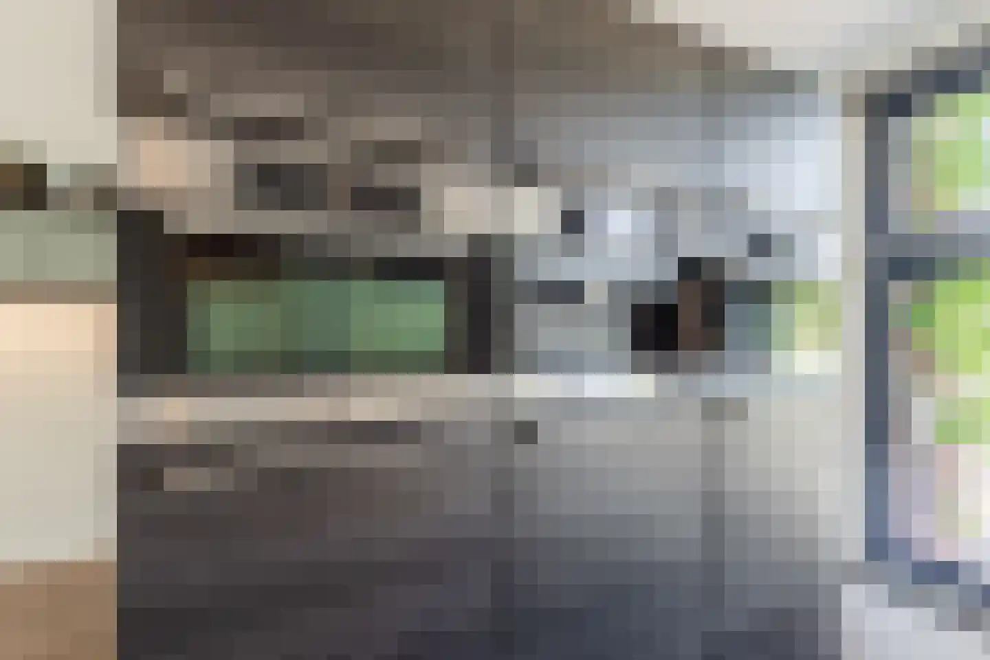 Walstro 54 Cuijk thumbnail 15