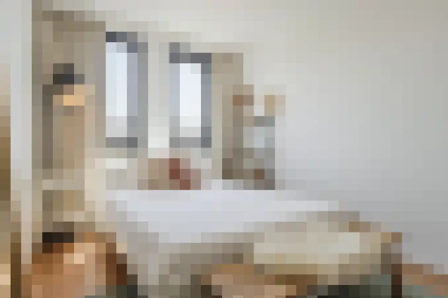 Walstro 54 Cuijk thumbnail 19