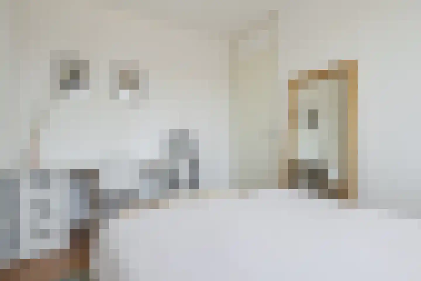 Walstro 54 Cuijk thumbnail 20