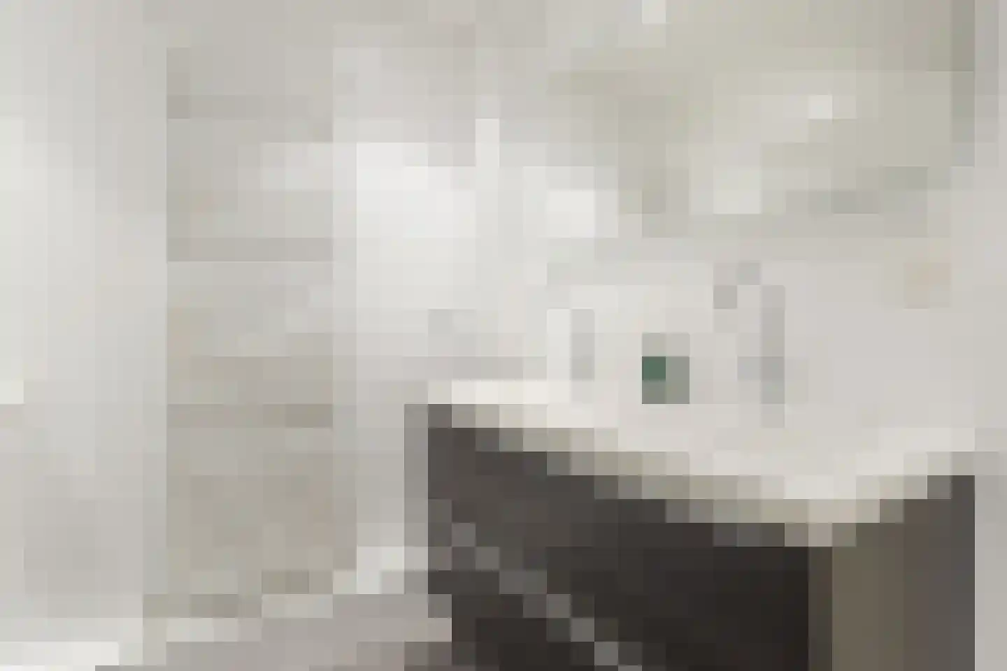 Walstro 54 Cuijk thumbnail 26