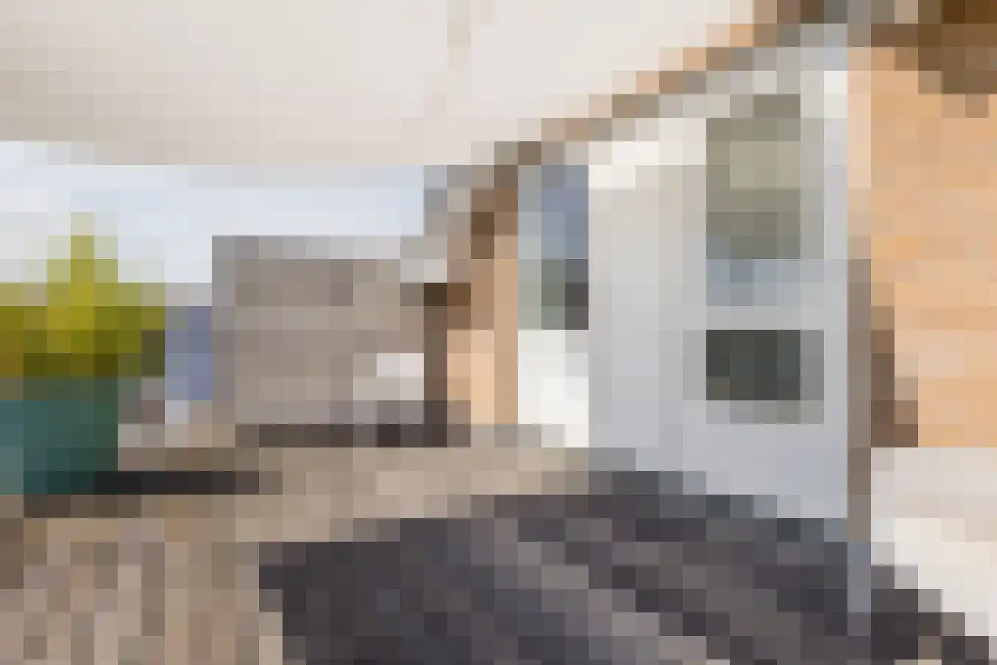 Walstro 54 Cuijk thumbnail 34
