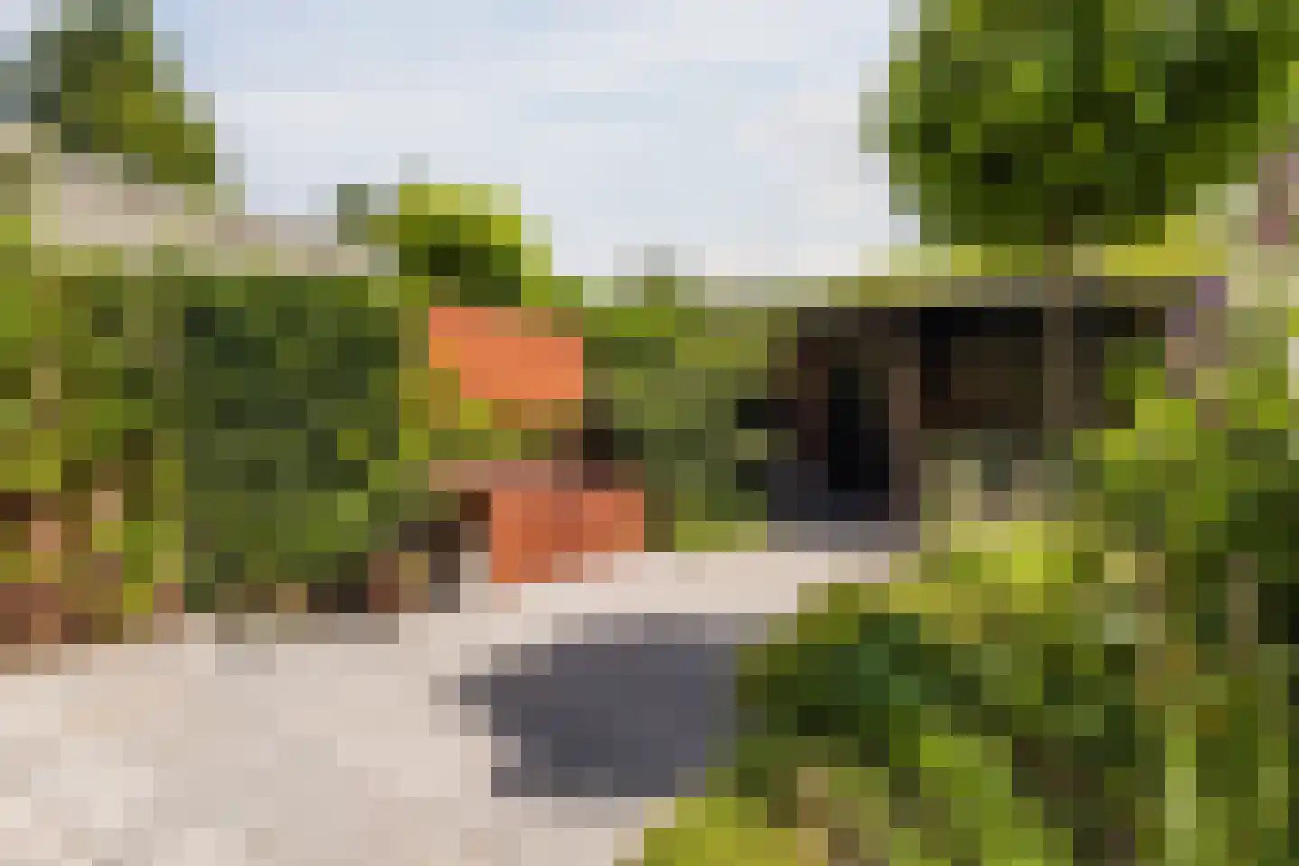 Walstro 54 Cuijk thumbnail 36