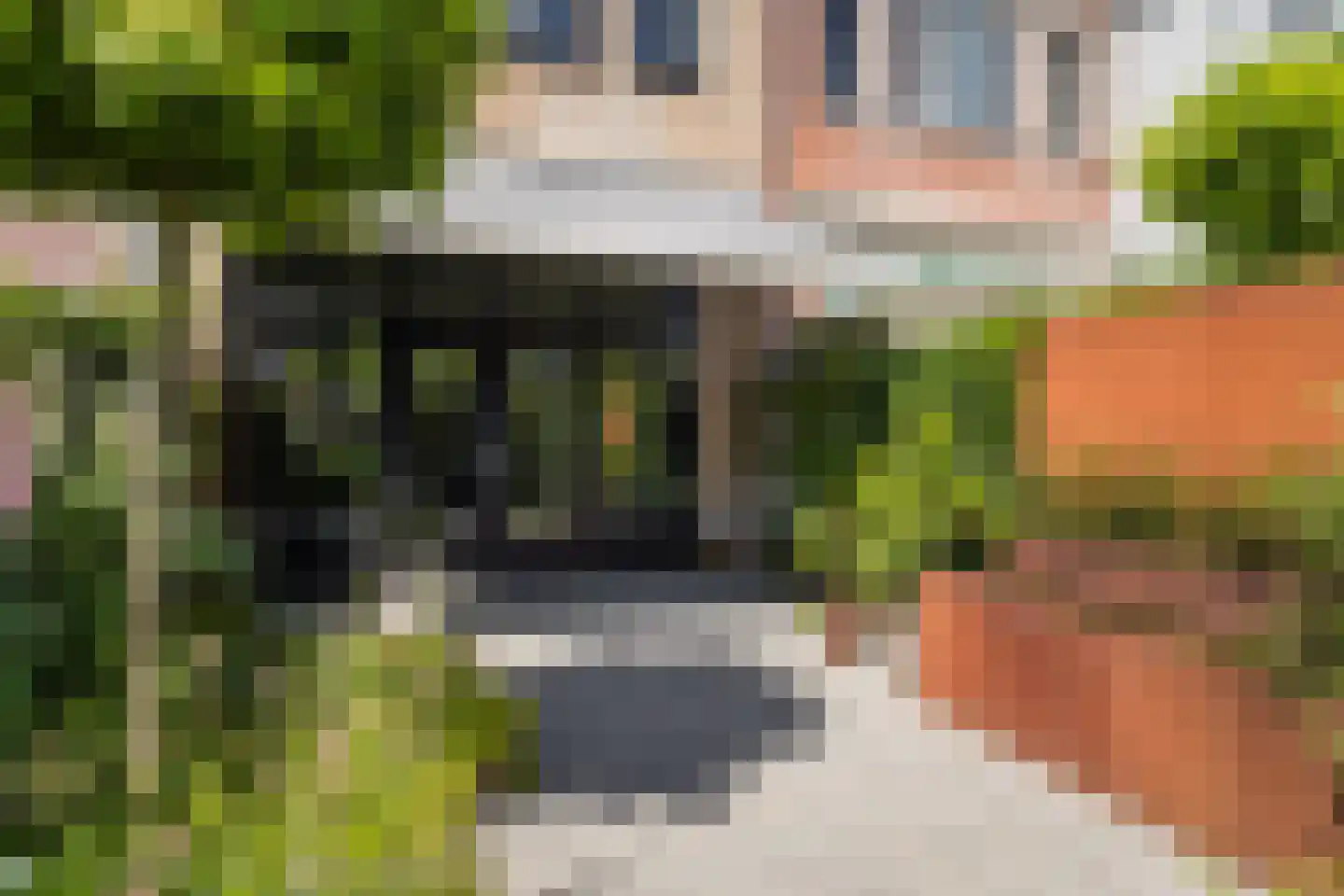 Walstro 54 Cuijk thumbnail 37