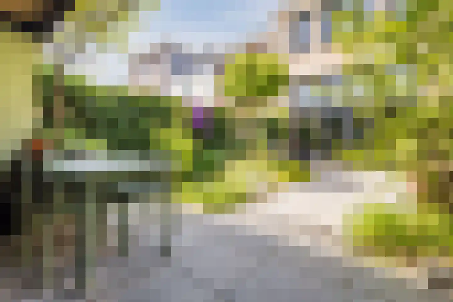 Walstro 54 Cuijk thumbnail 40