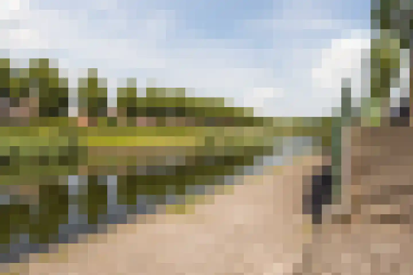 Walstro 54 Cuijk thumbnail 44