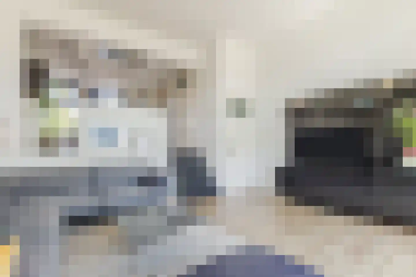 Walstro 54 Cuijk thumbnail 7