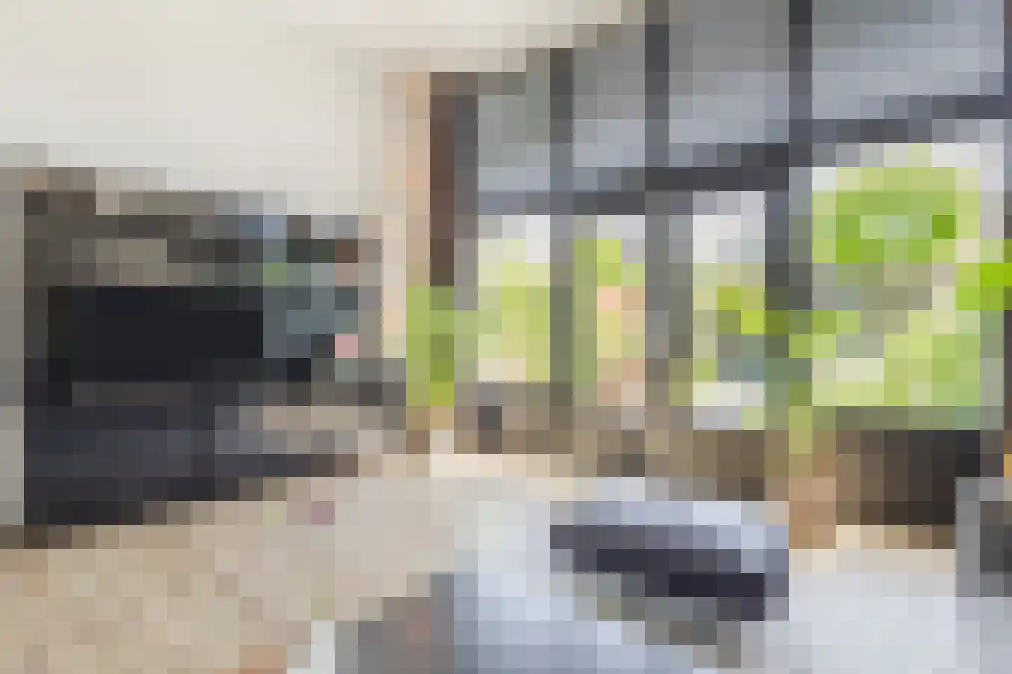 Walstro 54 Cuijk thumbnail 8