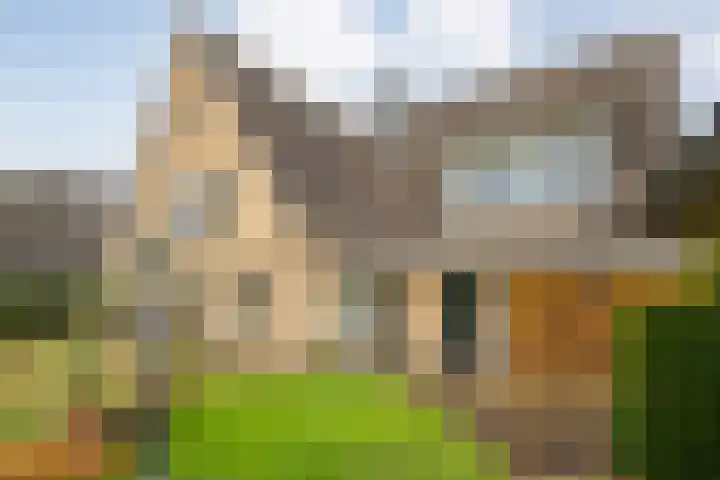 Walstro 55 Nijverdal thumbnail 38
