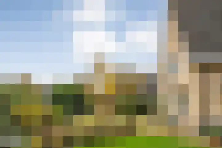 Walstro 55 Nijverdal thumbnail 39