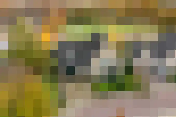 Walstro 55 Nijverdal thumbnail 4