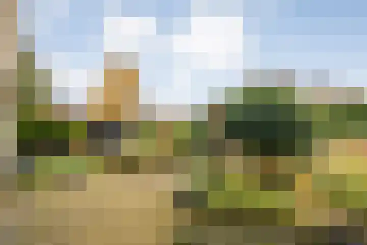 Walstro 55 Nijverdal thumbnail 40