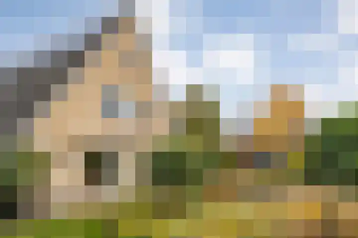 Walstro 55 Nijverdal thumbnail 41