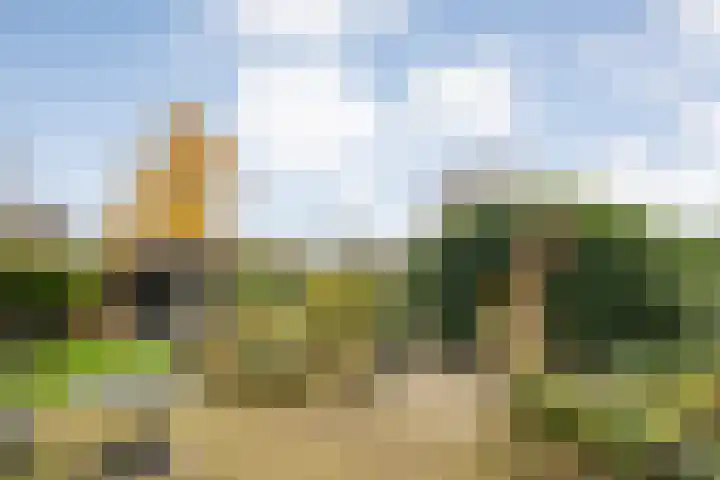 Walstro 55 Nijverdal thumbnail 42