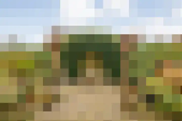Walstro 55 Nijverdal thumbnail 43