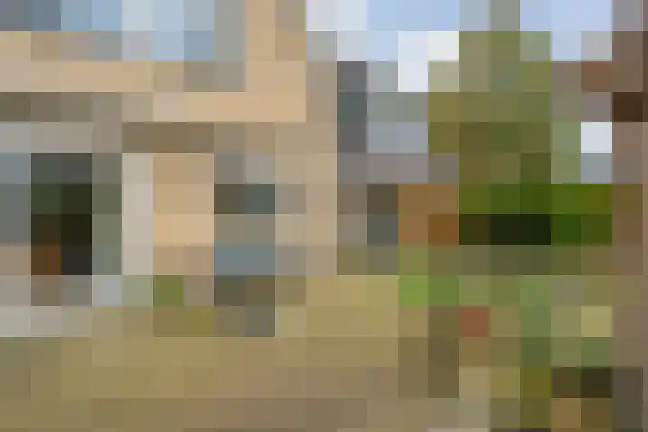 Walstro 55 Nijverdal thumbnail 44