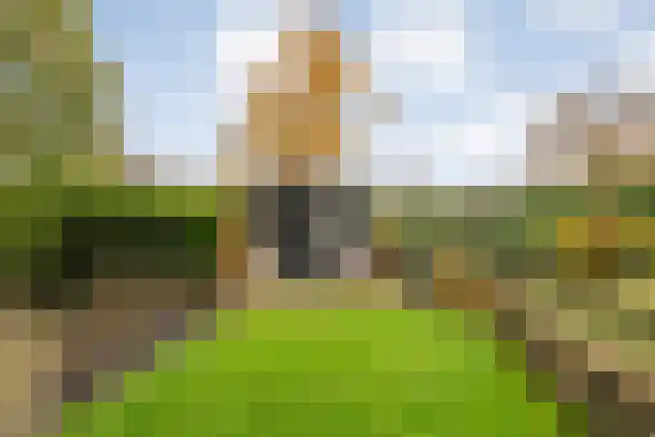 Walstro 55 Nijverdal thumbnail 45