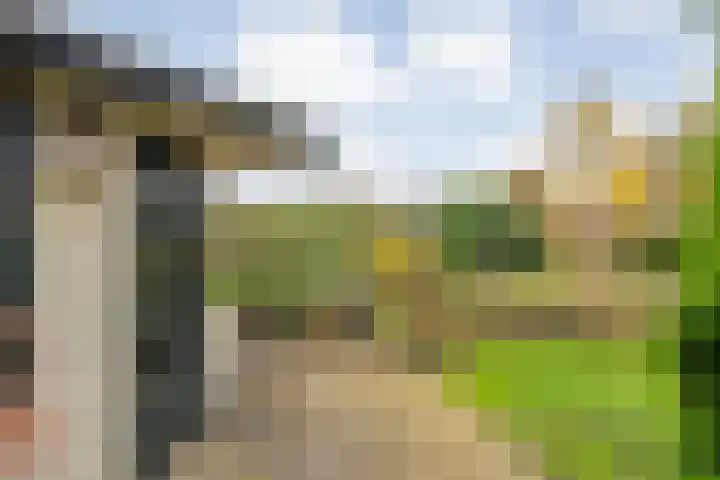Walstro 55 Nijverdal thumbnail 46