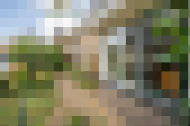 Walstro 55 Nijverdal thumbnail 48