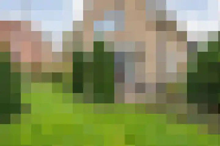 Walstro 55 Nijverdal thumbnail 49