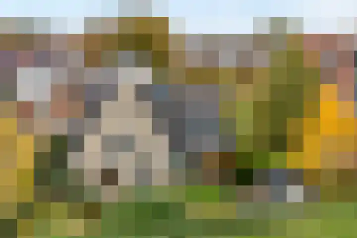 Walstro 55 Nijverdal thumbnail 5
