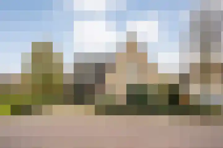 Walstro 55 Nijverdal thumbnail 50