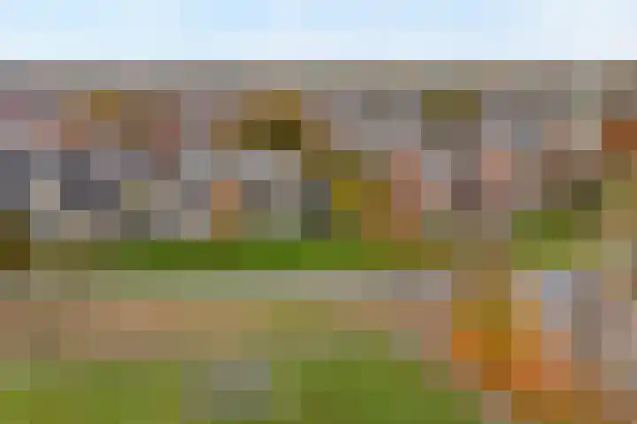 Walstro 55 Nijverdal thumbnail 52