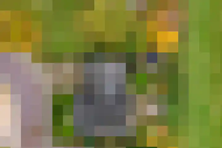 Walstro 55 Nijverdal thumbnail 6