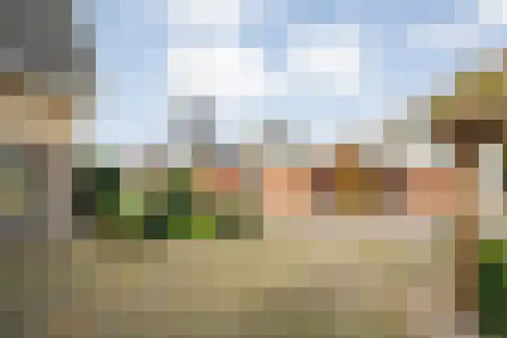 Walstro 55 Nijverdal thumbnail 7