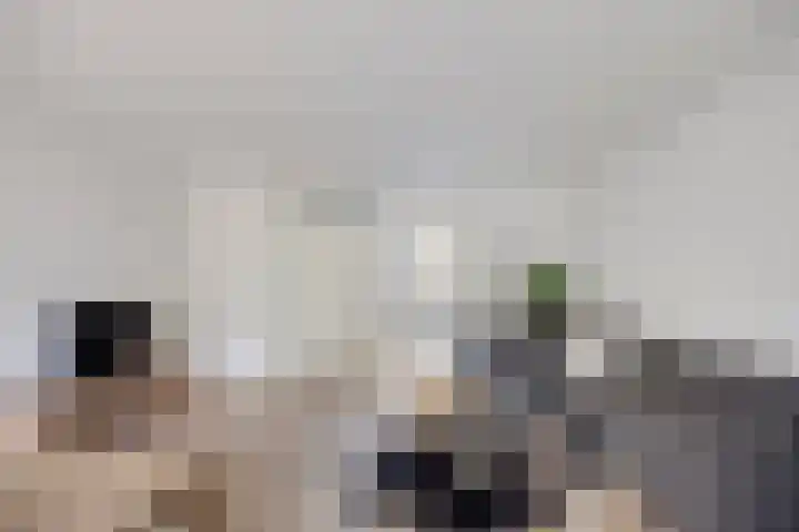 Walstro 56 Cuijk thumbnail 14