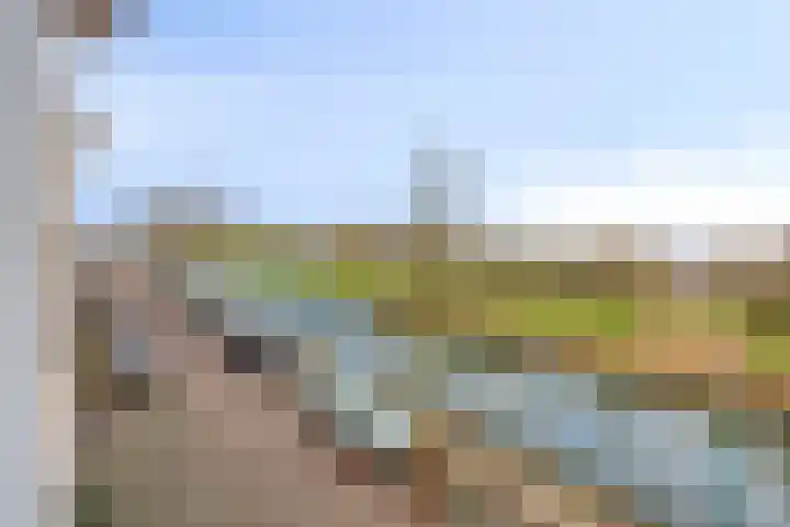 Walstro 56 Cuijk thumbnail 28