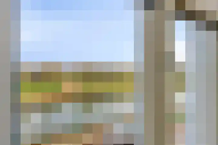 Walstro 56 Cuijk thumbnail 29