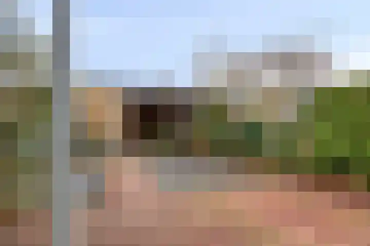 Walstro 56 Cuijk thumbnail 30