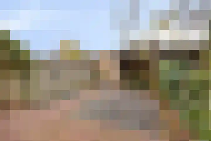Walstro 56 Cuijk thumbnail 31