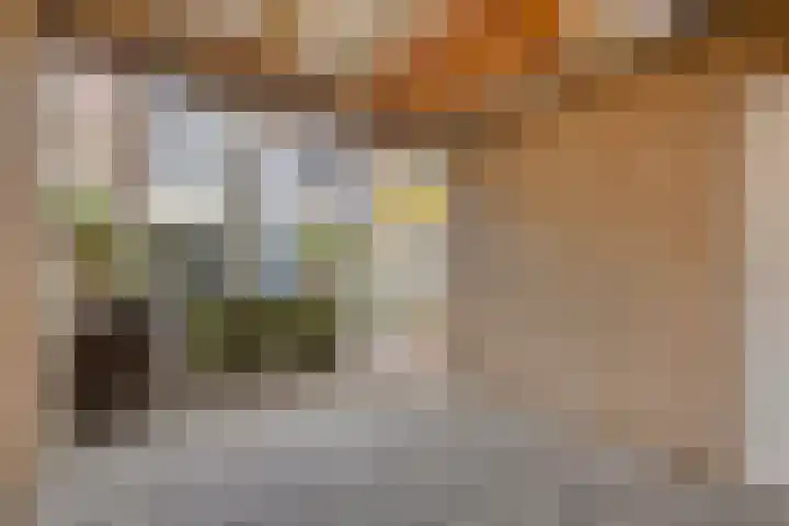 Walstro 56 Cuijk thumbnail 33