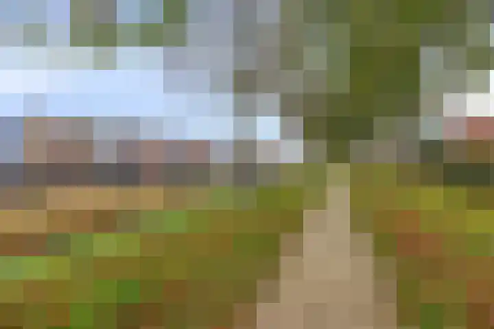 Walstro 56 Cuijk thumbnail 36