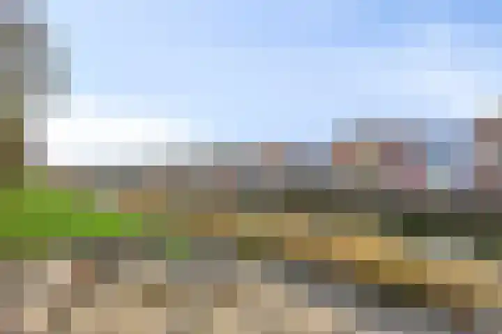 Walstro 56 Cuijk thumbnail 37