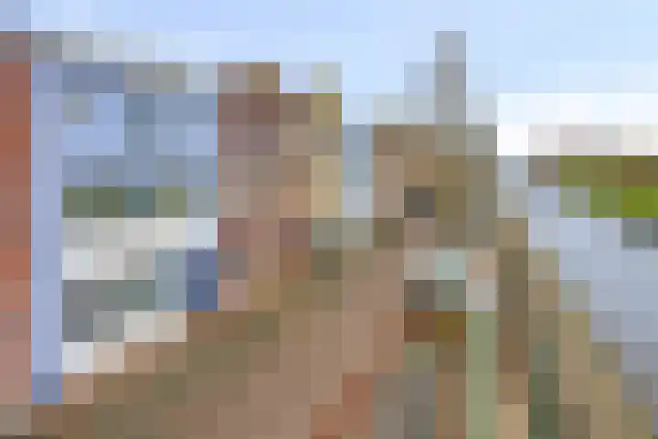 Walstro 56 Cuijk thumbnail 7